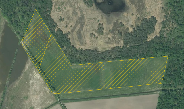 Een voorbeeld waar er bomen zouden moeten zijn, maar er staan geen.