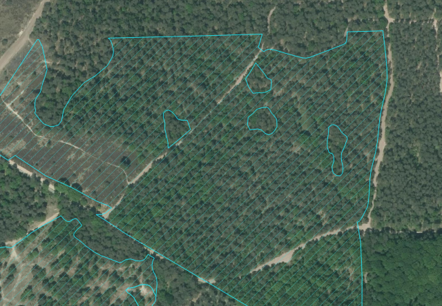 Een voorbeeld waar er heide zouden moeten staan, maar er staan bomen
